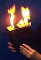 FLAMING BOOK - LOWEST PRICE ON THE NET - $29.95